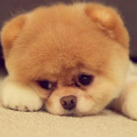 Xiaofeng Used Github - Colorful Illustration Collection - High Resolution Quality