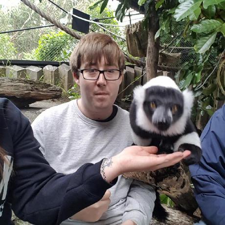 Troybrittain Troy Github - Premium Minimal Texture Gallery - Retina