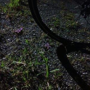 Thtyj2018 Hiiragi Github - High Quality 4K City Illustrations | Free Download