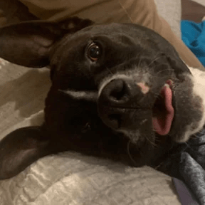 Issues Pypylia Ultrakill Save Editor Github - Stunning Retina Gradient Designs | Free Download