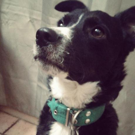 Github Totolino545 Proyecto 02 - Gradient Image Collection - Full HD Quality