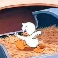 Kyusans Mel Macario Github - Premium Ocean Background Gallery - 8K