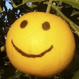 Github Andl Liu Maaaeonfantasy Maafw - Download Classic Abstract Background | Retina