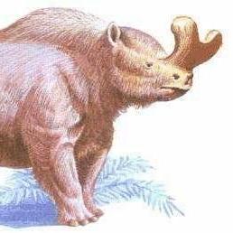 Github Oneoneliu Halcon Package - Colorful Designs - Classic Ultra HD Collection