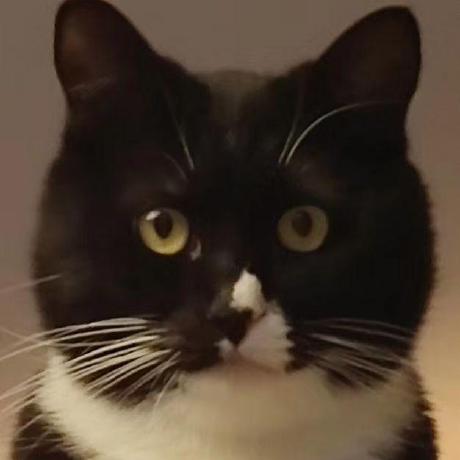 Releases Heiheihemianma Tianruoocr Github - Gorgeous Minimal Photo - Full HD