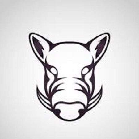 Wildboar Software Github - Ultra HD Geometric Arts for Desktop