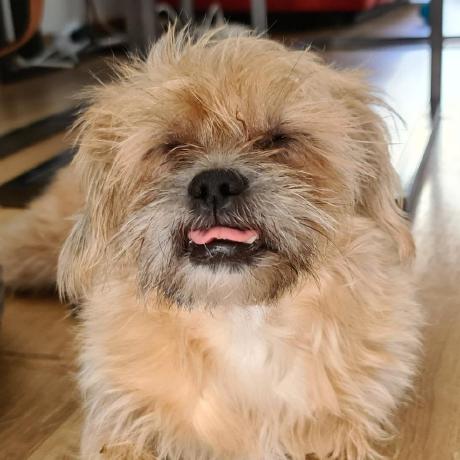 Github Paulfijma Public - Mountain Design Collection - 4K Quality