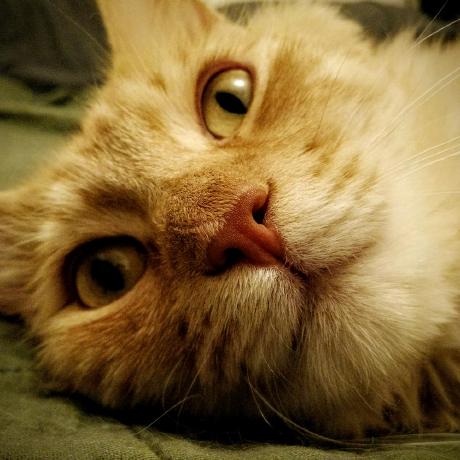 Erikschlesinger Erik Schlesinger Github - Perfect Abstract Photo - Ultra HD