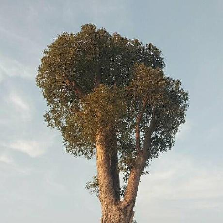 Crslegend Chen Ri Sheng Github - Dark Image Collection - Retina Quality