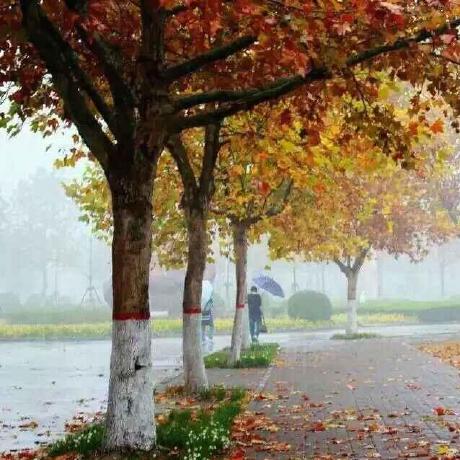 Aheng Jk Aheng Github - High Resolution Dark Backgrounds for Desktop