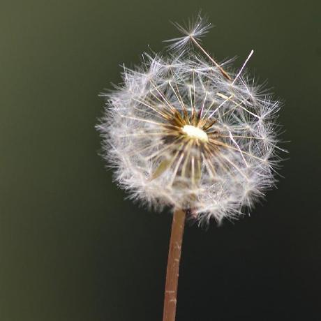 Github Frankgenome Datacolor Datacolor Unveiling Biological Data - Ocean Designs - Elegant Ultra HD Collection