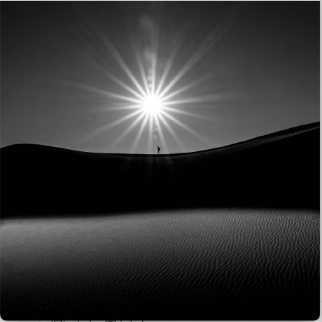 Foggy Github - Nature Pattern Collection - 4K Quality