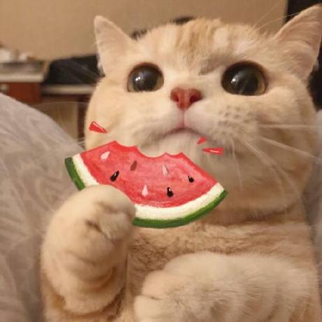 Xunjoy Joy Q Zhang Github - Nature Backgrounds - Modern 4K Collection