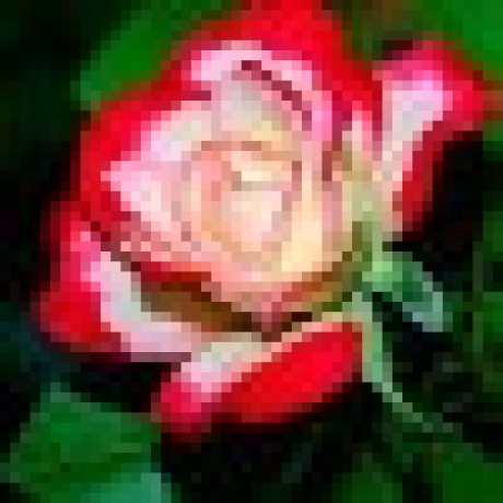 Aayushbombom (Aayush Roy) · GitHub