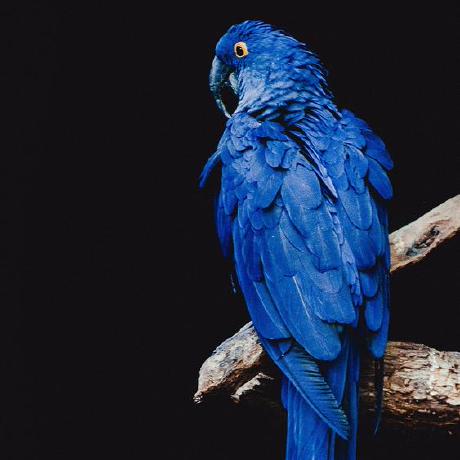 P Sidorov Github - Dark Textures - Premium Retina Collection