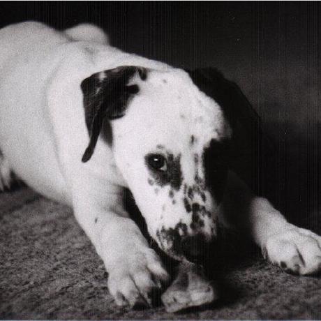 Bob Sixgen Github - Mobile Ocean Textures for Desktop