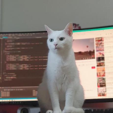 Woogi Kang Woogi Github - High Resolution Minimal Patterns for Desktop