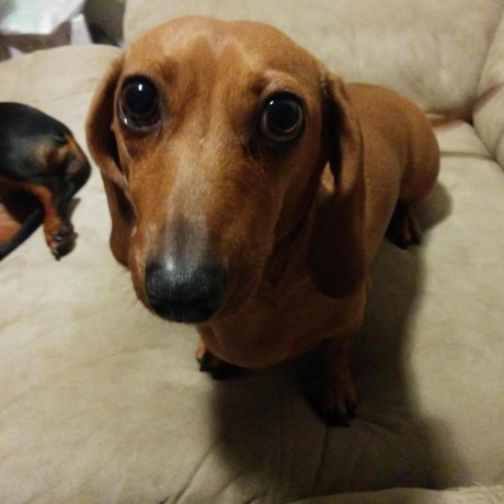 Fuentesdt David Fuentes Github - Sunset Image Collection - Mobile Quality