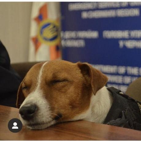 Team Ollie Github - Download Modern Sunset Picture | 4K