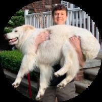 M Gagne Marc Gagne Github - Premium Colorful Design Gallery - Full HD