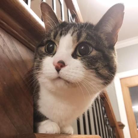 Kia6918 Kiyann Github - Download High Quality Vintage Art | 4K