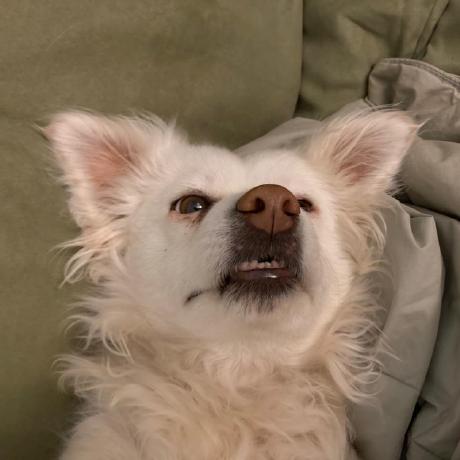 Github Nrel Pypscad - High Resolution Vintage Textures for Desktop