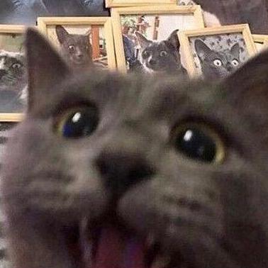 Caballo Rojo Github - Classic Light Texture - Desktop