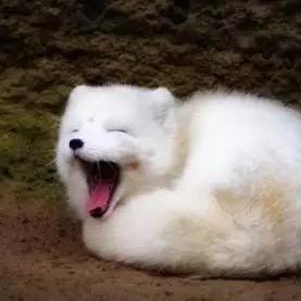 Github Eduardojaime Comp2084asp Net Ilac - High Resolution Sunset Arts for Desktop