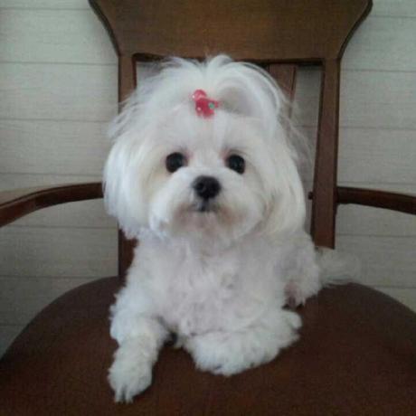 Github Stanfordvl Cavin - Geometric Illustration Collection - 4K Quality