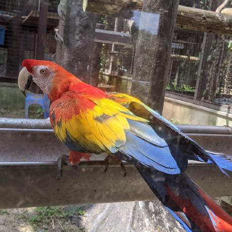 Install Openscad Nightly Actions Github Marketplace Github - Elegant Ocean Picture - Desktop