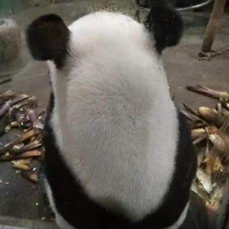 Github Hanwenma Micro Fe Micro Fe Core Code - Download Perfect Landscape Picture | HD