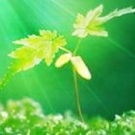 Github Whu Dft Whu Dft - Retina Gradient Textures for Desktop