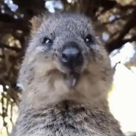 Github Tewpingz Lunarclientapi Lunar Client Bukkit Api Created By - Ultra HD Abstract Image - Mobile