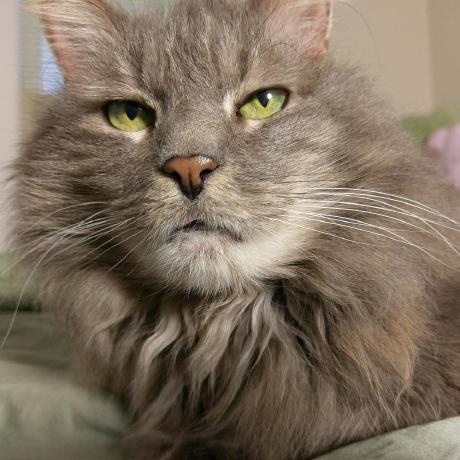 Aepstein Ari Epstein Github - Beautiful High Resolution City Backgrounds | Free Download