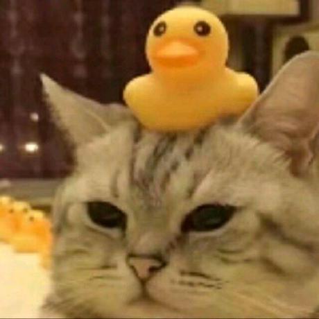 Github Nevermore98 Visionprotool Visionpro Tool Visionpro - Beautiful HD City Designs | Free Download