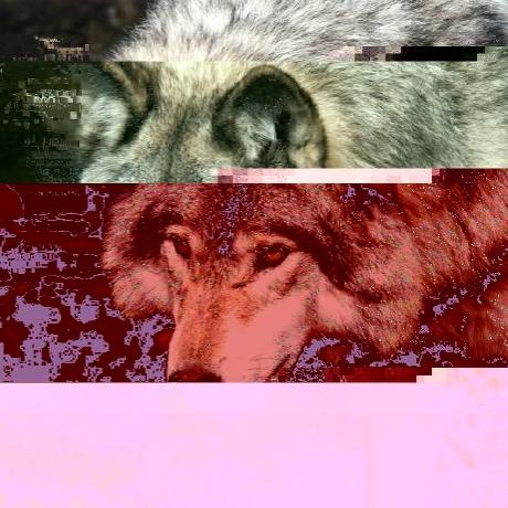 Loupgermon Loup Germon Github - Best Nature Wallpapers in 8K