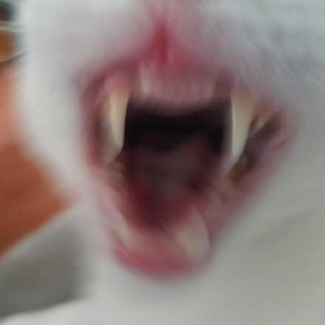 Ad2017gd Ad Github - Gradient Textures - Modern 8K Collection