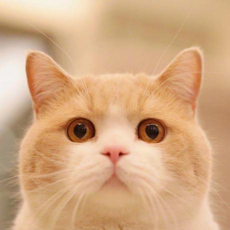 Github Tyaoo Picker - Best Minimal Illustrations in Ultra HD