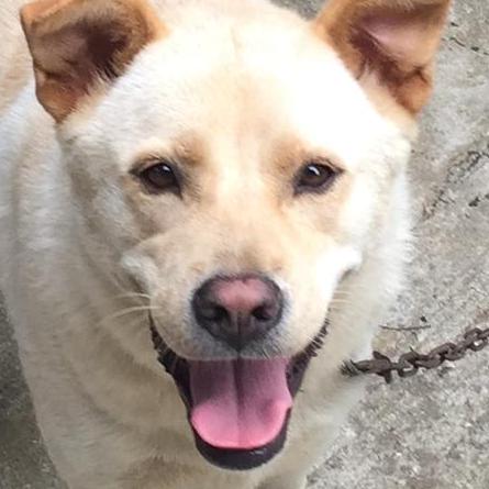 Github Manhinhang Futu Opend Docker Lightweight Futu Opend Docker - Incredible Mobile Ocean Images | Free Download