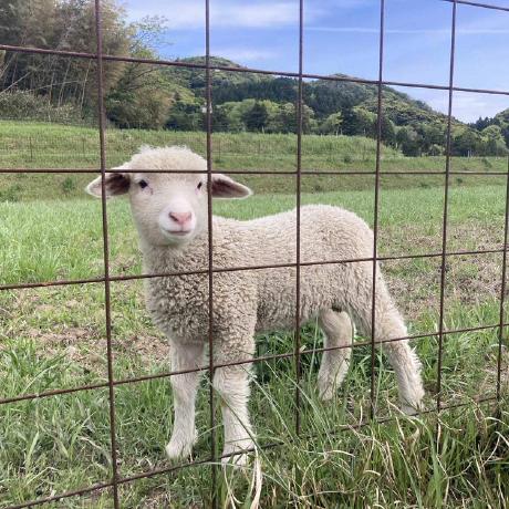 Hidekazu Wada Github - Minimal Textures - Perfect Full HD Collection