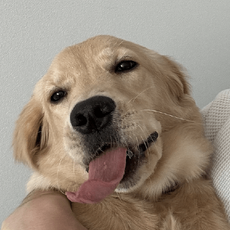 Kenzaku Yamaguchi Github - Perfect Full HD Gradient Pictures | Free Download