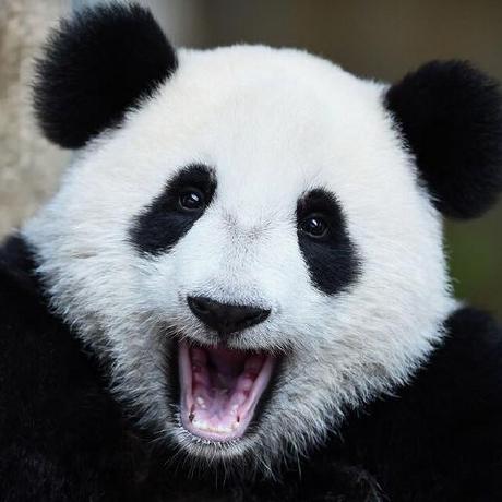 Github Devxiongmao Key Point Detector Comparison - Classic High Resolution City Backgrounds | Free Download