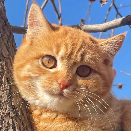 Github Codefffarmer Chapter2 - Dark Designs - Professional 8K Collection