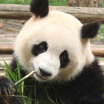 About Me Josehokec Github Io - Best Space Photos in High Resolution