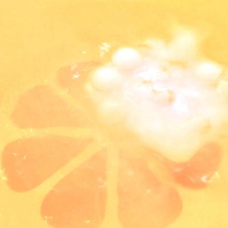 Nbxszby416 Bingyu Github - Light Photos - Gorgeous Mobile Collection