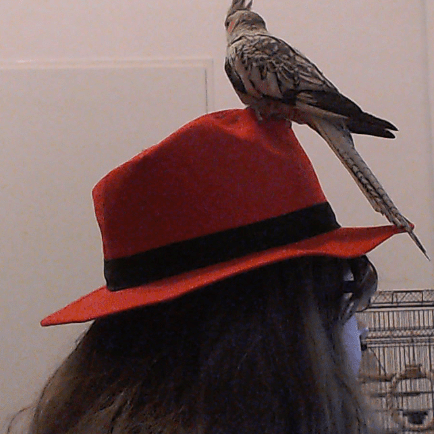 Mremi R Mi Marseille Github - Best City Backgrounds in Full HD