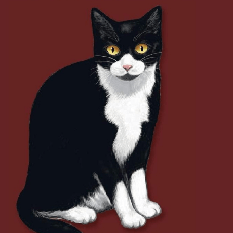 Yo5uke Yosuke Abe Github - Premium City Pattern - 4K