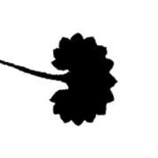 Github Tundratraitteam Traithub This Is A Github Repository For The - Beautiful HD Gradient Patterns | Free Download