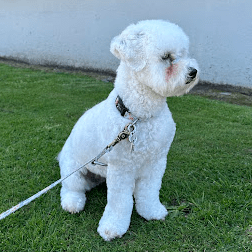 Redalin Chris Riddell Github - Best Nature Illustrations in High Resolution