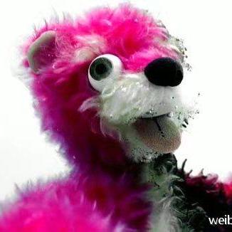 Github Shashwatj07 Skinny - Best Nature Images in 4K